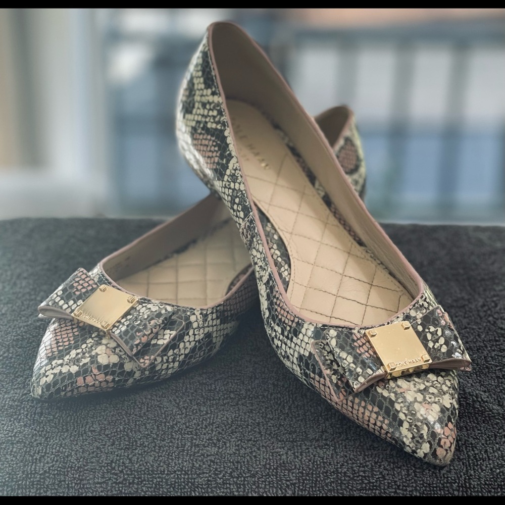 Beautiful COLE HAAN ballet flats